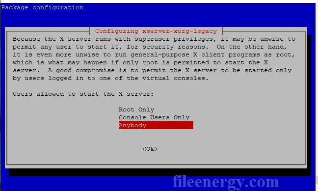 Инструкция по установке и настройке терминального сервера на базе Linux Debian 10 с графической оболочкой
