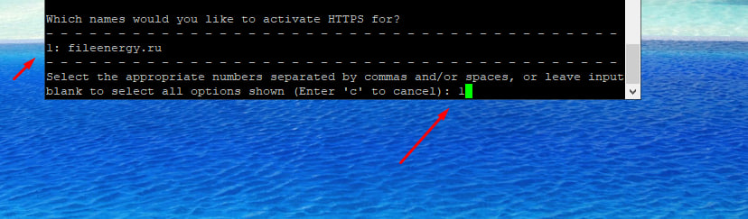 Как установить и настроить Matrix Synapse, Coturn на Ubuntu 22.04 для сообщений, аудио- и видеозвонков